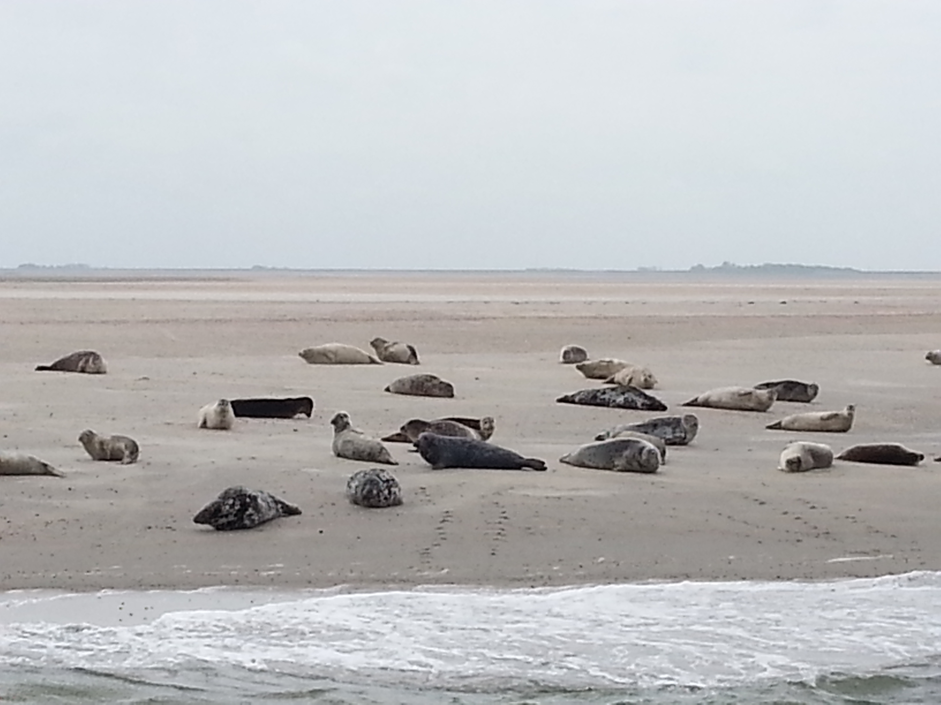 HWK Texel 126.jpg